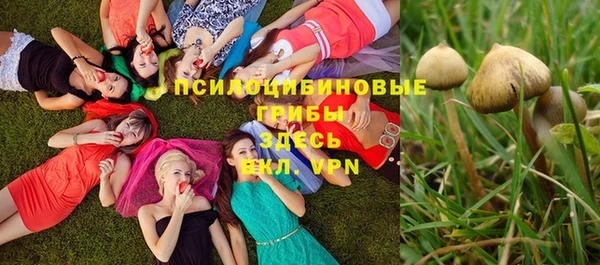 мескалин Беломорск