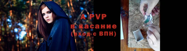 дживик Баксан