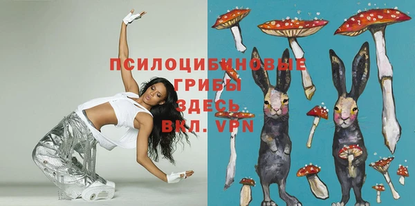 эйфоретик Балахна