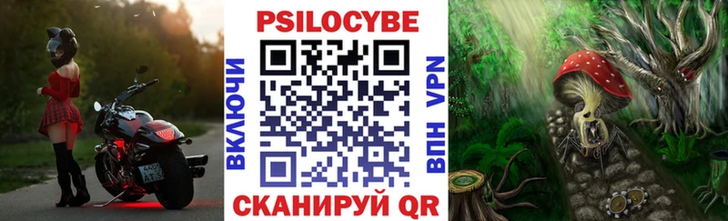 Галлюциногенные грибы Psilocybine cubensis  Лебедянь 